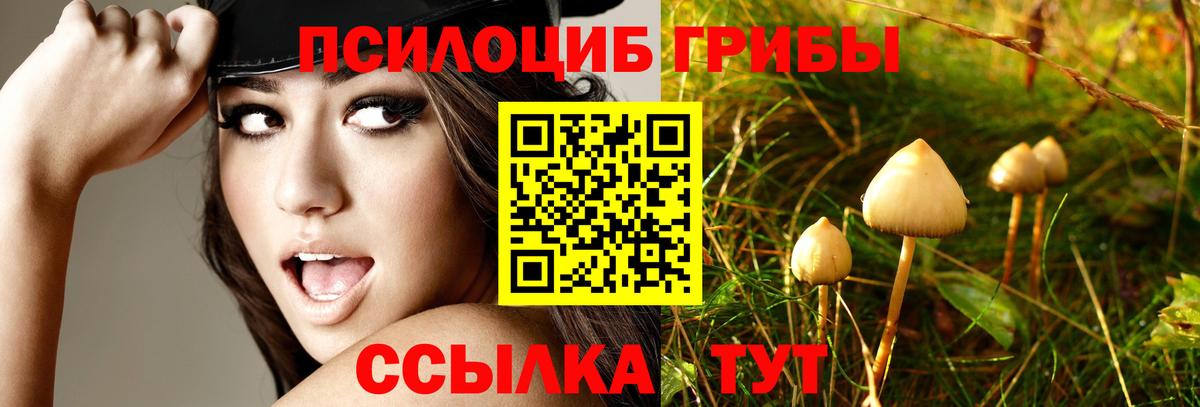 Реж  Галлюциногенные грибы мухоморы  Вход с VPN 